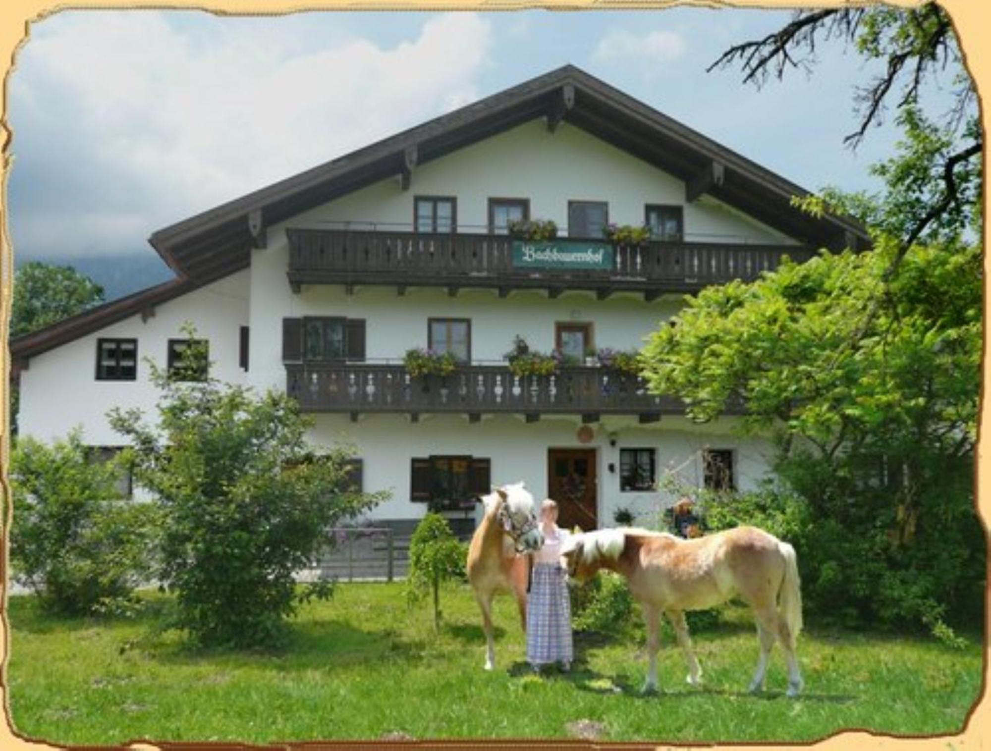 바에릭그멘 Bachbauernhof 아파트 외부 사진